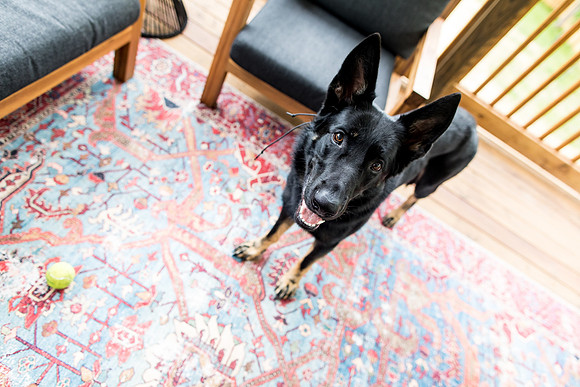 sara_kauss_photography_1925