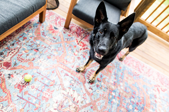 sara_kauss_photography_1922