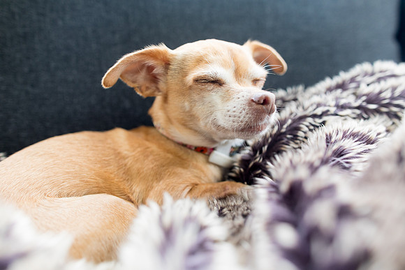 sara_kauss_photography_1917