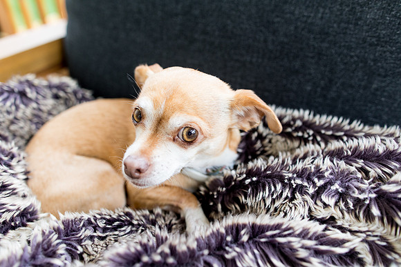 sara_kauss_photography_1907