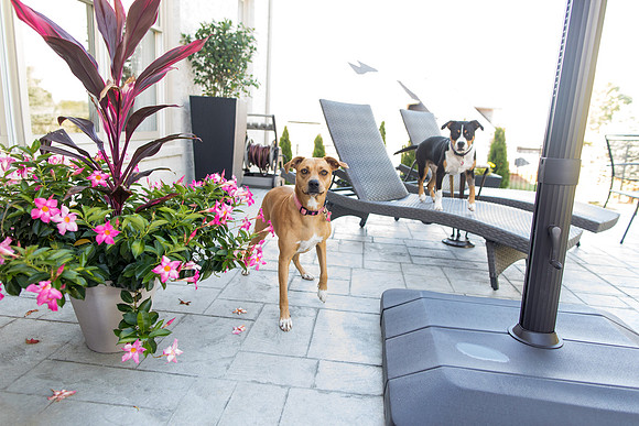 sara_kauss_photography_2768