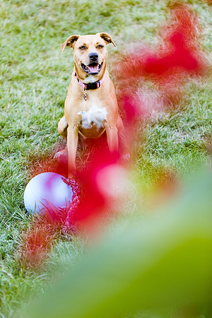 sara_kauss_photography_2775