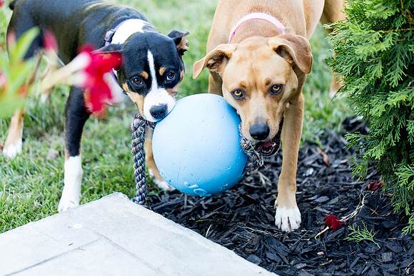 sara_kauss_photography_2770