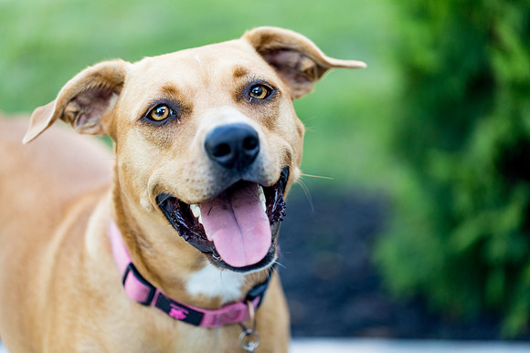 sara_kauss_photography_2785