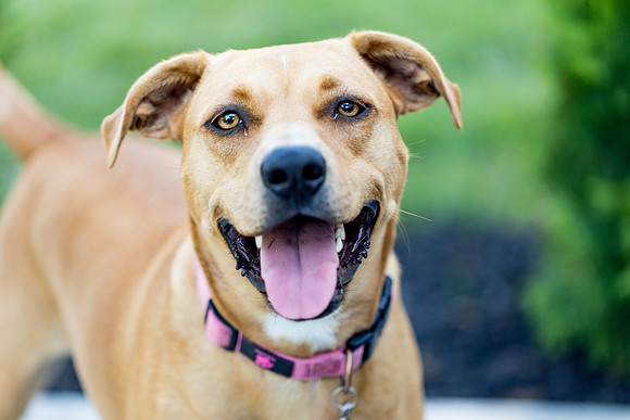 sara_kauss_photography_2786