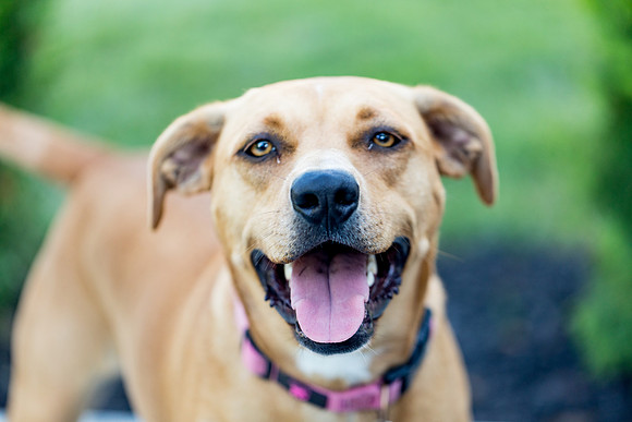 sara_kauss_photography_2788