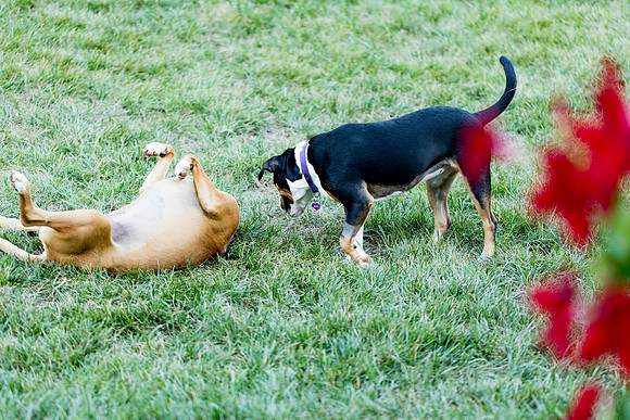 sara_kauss_photography_2793