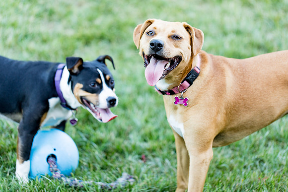 sara_kauss_photography_2798