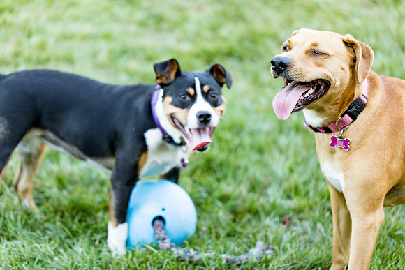 sara_kauss_photography_2799