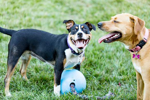 sara_kauss_photography_2800