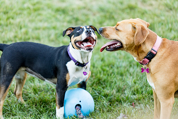 sara_kauss_photography_2802