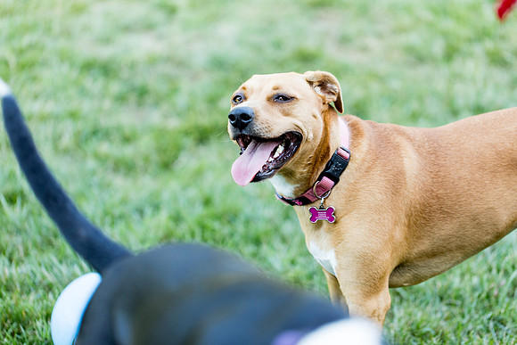 sara_kauss_photography_2807