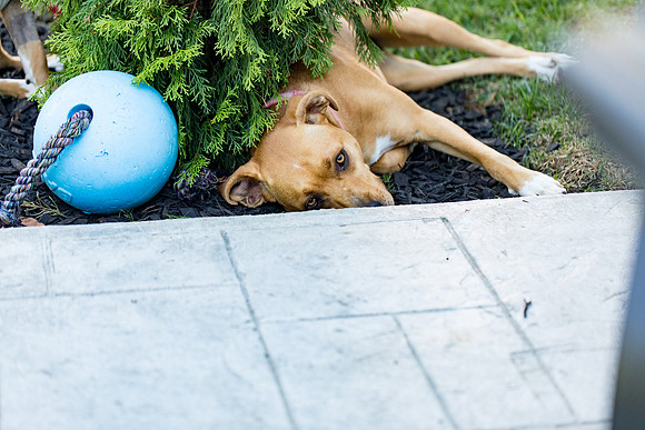 sara_kauss_photography_2811