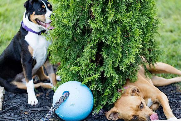 sara_kauss_photography_2812