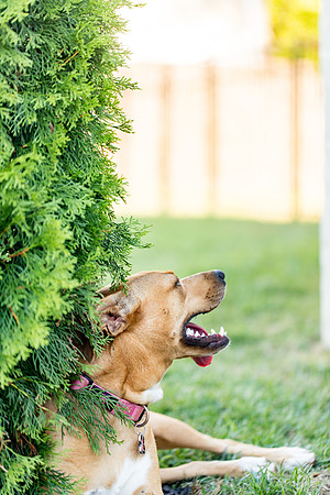 sara_kauss_photography_2815