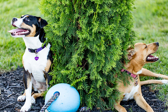 sara_kauss_photography_2817