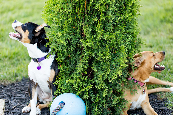 sara_kauss_photography_2820