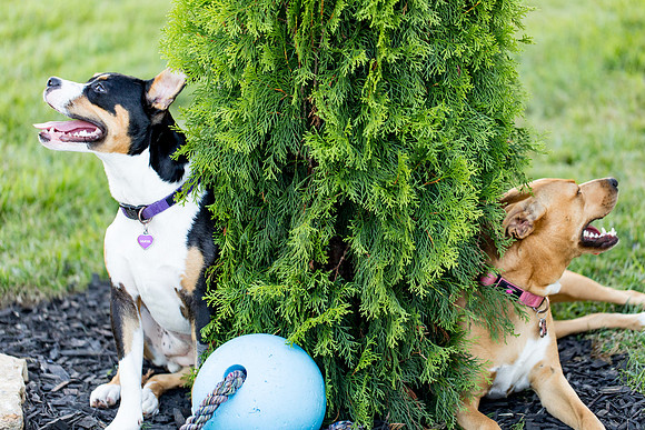 sara_kauss_photography_2822