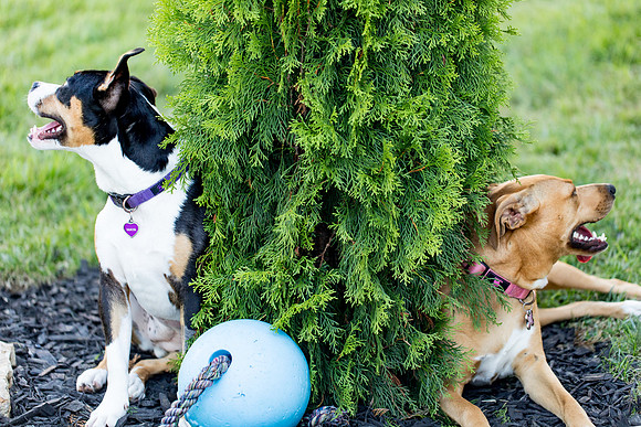 sara_kauss_photography_2824