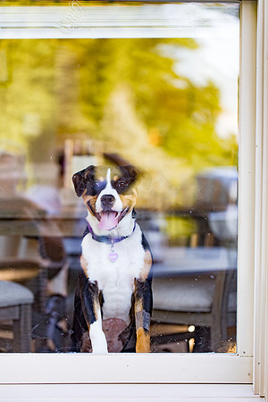 sara_kauss_photography_2833