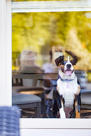 sara_kauss_photography_2834