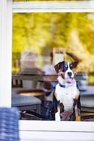 sara_kauss_photography_2835