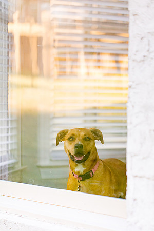 sara_kauss_photography_2837