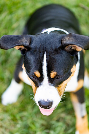 sara_kauss_photography_2849