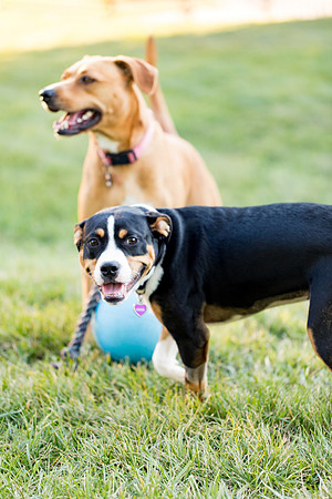 sara_kauss_photography_2850