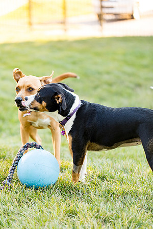 sara_kauss_photography_2857