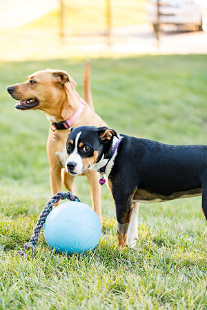 sara_kauss_photography_2859