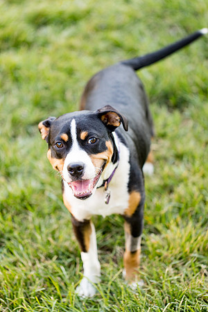 sara_kauss_photography_2863