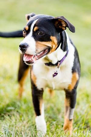 sara_kauss_photography_2871