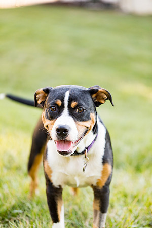 sara_kauss_photography_2872