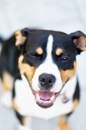 sara_kauss_photography_2887