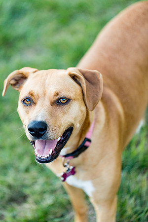 sara_kauss_photography_2894