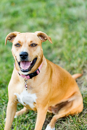 sara_kauss_photography_2898