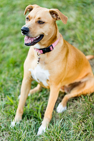 sara_kauss_photography_2901