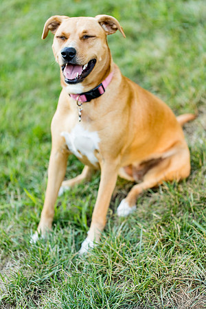 sara_kauss_photography_2903