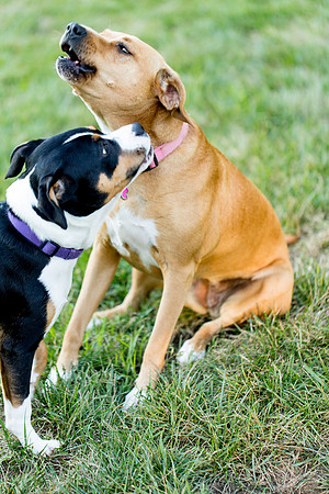 sara_kauss_photography_2907