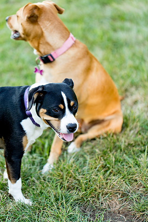 sara_kauss_photography_2910