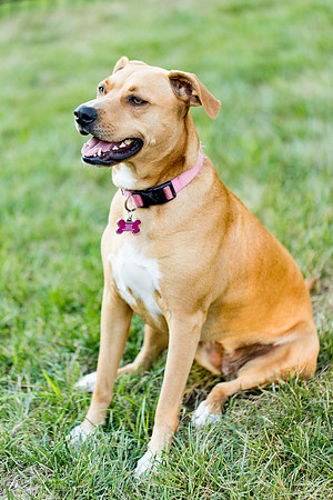 sara_kauss_photography_2912