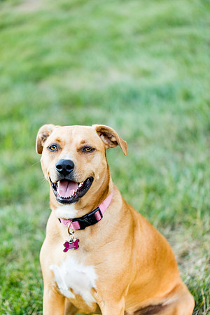 sara_kauss_photography_2913