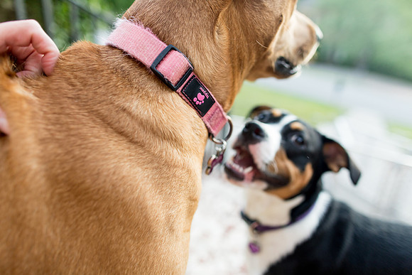 sara_kauss_photography_3656