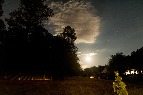 sara_kauss_photography_3708