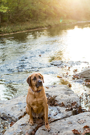 sara-kauss-photography-0894