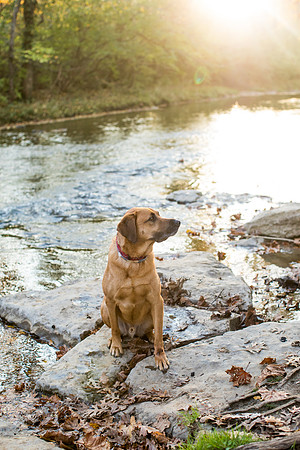 sara-kauss-photography-0900