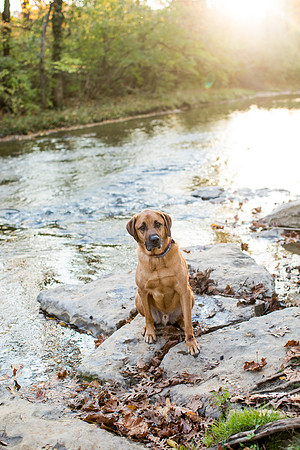sara-kauss-photography-0905