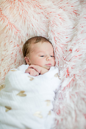 sara-kauss-photography-1290