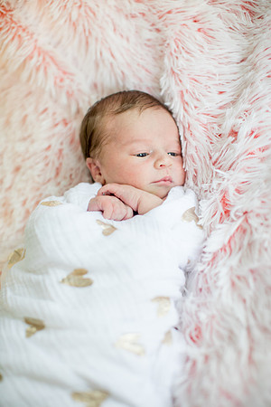 sara-kauss-photography-1293